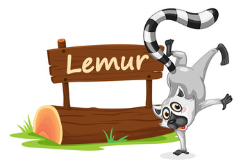 lemur and name plate