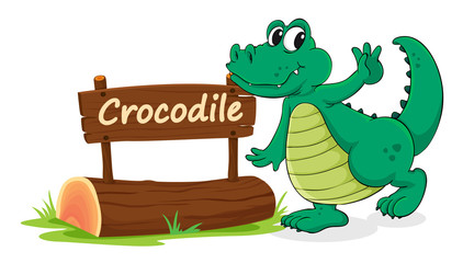 crocodile and name plate