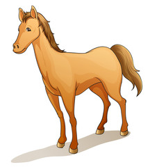 horse