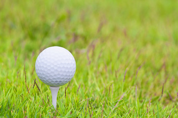 Golf ball on tee over a blurred green