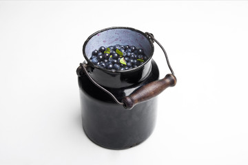 The rural can with blueberries
