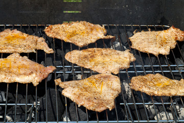 barbecue with delicious grilled meat on grill