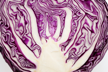 Red Cabbage cross section on White Background