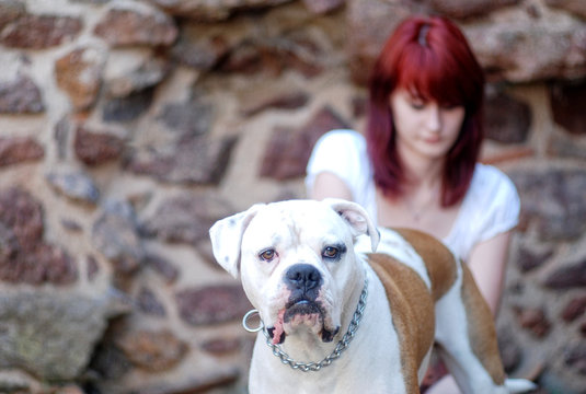 Kampfhunde Mischling mit Frauchen