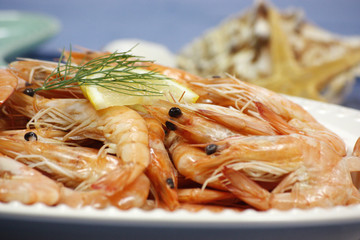 crevettes