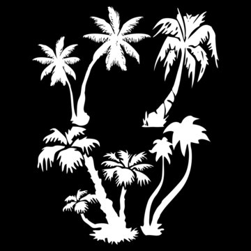 Set of white vector palms on a black background
