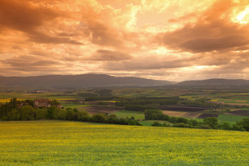 Green meadow under sunset sky with clouds