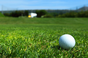 golf-ball on course