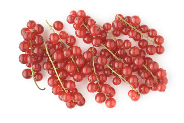 Red Currants on White