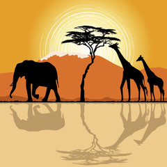 Fototapeta na wymiar Afrykański krajobraz w czasie zachodu słońca z żyraf i słoni.