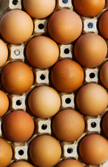 braune Eier auf Eierpappe