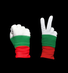 Bulgaria flag