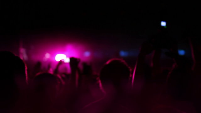 crowd and dj at a large electronic music festival