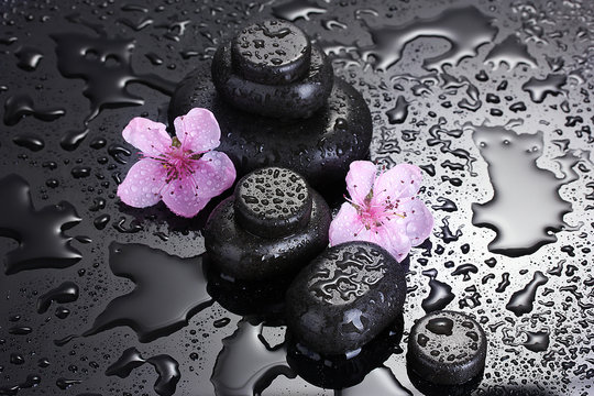 Fototapeta Spa stones with drops and pink sakura flowers