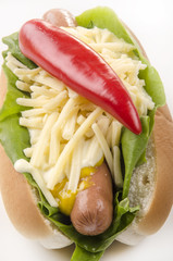 hotdog with chili and grated mature cheese