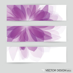 Flower vector background brochure template. Set of floral cards