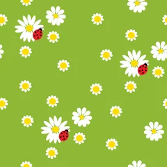Raamstickers Kamille bloemen met een lieveheersbeestjes op groene achtergrond © bulycheva_art