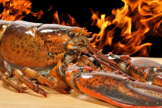 Barbacoa de marisco.