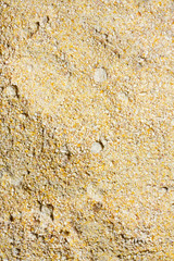 crushed maize as a background