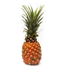 Fototapeta premium pineapple on a white background