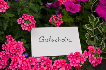 Blumen Gutschein Geschenk Zettel pink