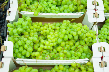 Bunch of fresh green grape in boxes in supermarket