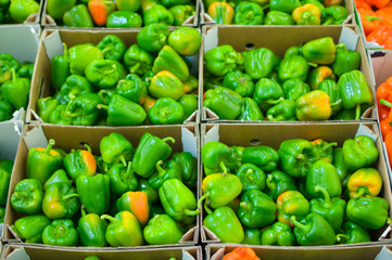 Bunch of green paprika in boxes in supermarket