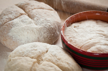 dough with rolling pin and sourdough _ pasta e lievito madre - 43553790