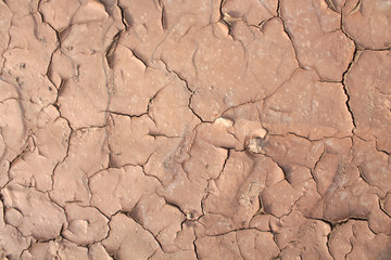 Dried cracked earth