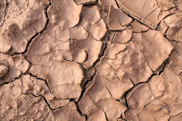 Dried cracked earth
