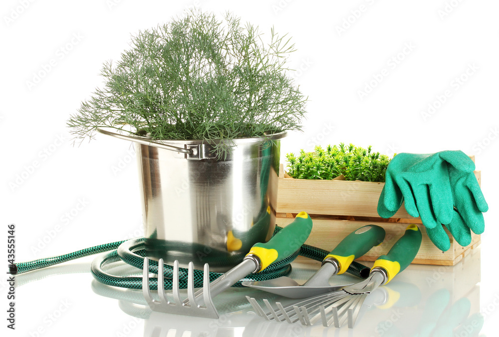 Wall mural garden tools isolated on white