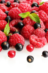 ripe berries with mint, isolated on white.
