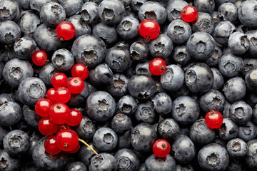 blueberries and red currant berries