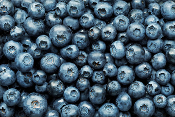 blueberries background