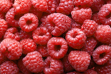 raspberries background