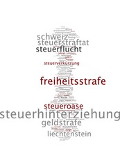 Steuerhinterziehung