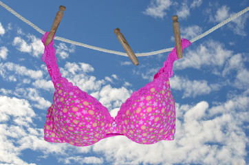 pink bra on clothesline