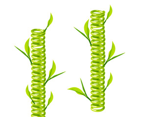 Green spring