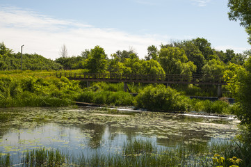 Река . Пейзаж России