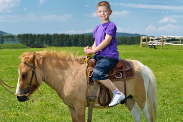 child ride pony