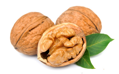 Dried walnuts with leaves