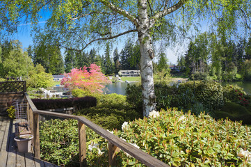 Spring lake view from house deck with biirch tree.