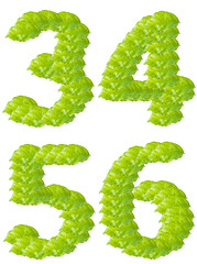 Green leaf alphabet character.