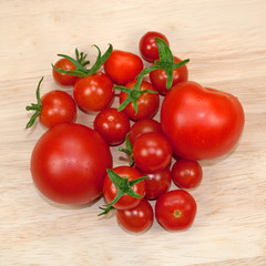 Tomaten - Solanum lycopersicum