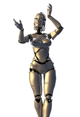 Fototapeta premium The robot