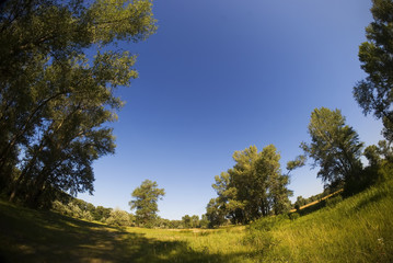 Obraz premium Nature.