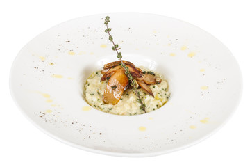 photo of delicious risotto dish with herbs and mushrooms on whit