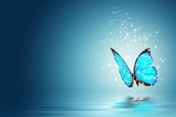 Tuinposter vlinder © ASTA Concept
