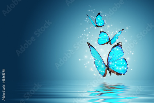 бабочка синяя загрузить