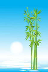 Bamboo in the sky, vector image for design